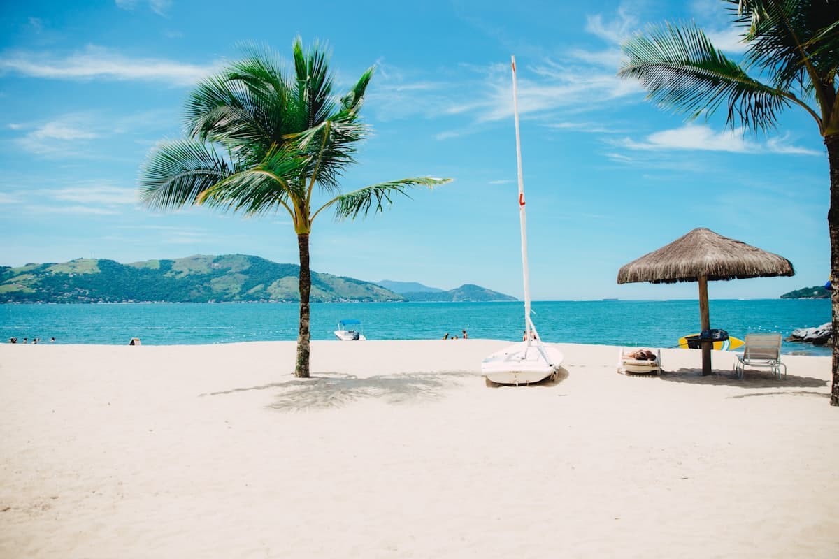 Palm tree and a parasol on an empty white-sand beach
